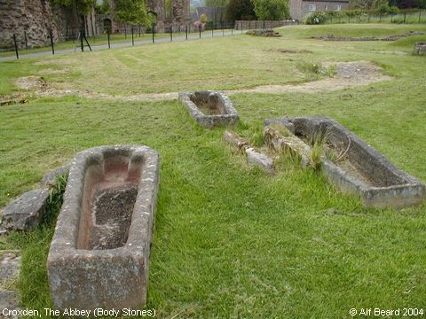 Recent Photograph of The Abbey (Body Stones) (Croxden)