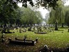 The Cemetery (in Summer)