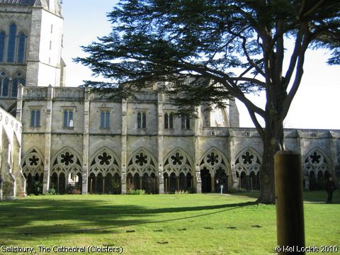 Recent Photograph of The Cathedral (Cloisters) (Salisbury)