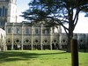 The Cathedral (Cloisters)