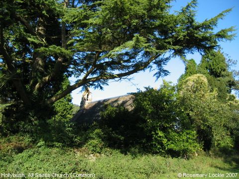 Recent Photograph of All Saints Church (Common) (Hollybush)